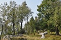 A stone observation tower on the top of the DÃâºÃÂÃÂ­nskÃÂ½ SnÃâºÃÂ¾nÃÂ­k, Czech Republic Royalty Free Stock Photo